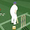 Cricket - Easy Mode